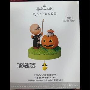 Hallmark Keepsake Ornament